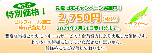 セルフィール施工特別価格2750円/㎡あたり 2025/3/31まで