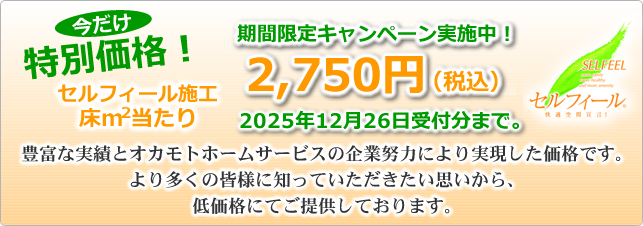 セルフィール施工特別価格2750円/㎡あたり　2025/3/31まで